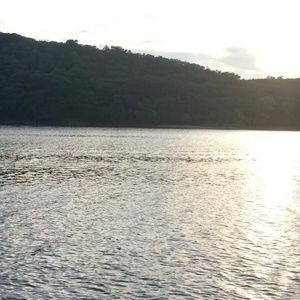 Meet your Posher, Edward